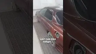 🎨ЦВЕТ САМ СЕБЯ НАЙДЕТ #авто #покраскаавто #автомаляр #автоприкол #юмор