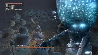 I'm Mr. Bloodborne, look at me!