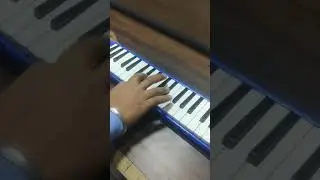 old town road cover on melodica.