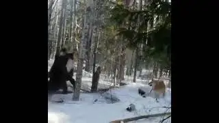 Чудят не подетски.