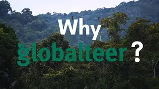 Why Globalteer