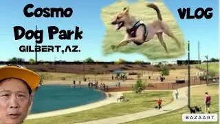 Cosmo Dog Park (Gilbert, AZ.) vlog