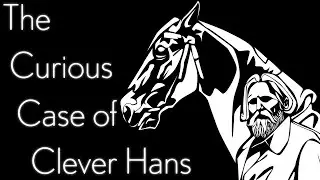 This Horse Changed Psychology Forever| The Life and Times of Carl Stumpf & Clever Hans