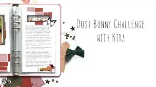 The Dust Bunny Challenge with Kira