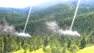 ¡Dejen De Plantar Árboles!