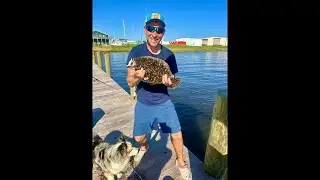 🔴 ⏯ Tanya & Yura is live! 🎣🦀Поймали Камбалу и Голубых Крабов…Ловим И Готовим….Продолжение