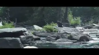 Hunger Games - scène searching for Peeta