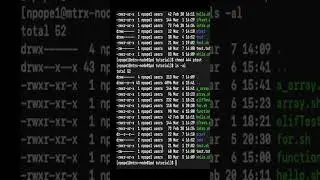 Directory Permissions in Linux | bash 