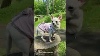 Приветик🍓🍓🍓