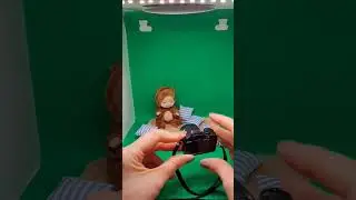 My First Photoshoots from my Mini Studio