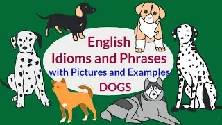 English Idioms: Dogs in Action  #english #ingles #english