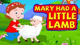 Mary Had A Little Lamb Nursery Rhyme| Lyrics |  Kids Songs | BABY RHYME | FUNKIDDZTV