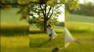 Connie Francis - Pretty Little Baby (sped up + reverb)
