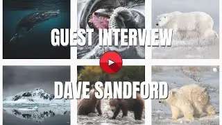 Dave Sandford Interview