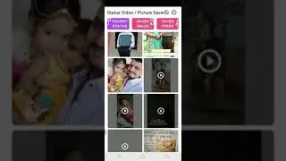 Status Video / Picture Saver