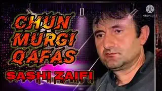 Саши Заифи - чун мурги кафас        Sashi Zaifi - chun murgi qafas