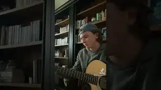 Feeling Whitney - Post Malone (cover)