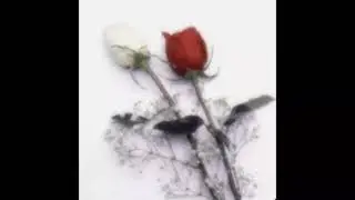 [free] snow strippers x electroclash type beat - roses (@voidrave99)