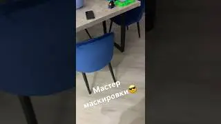 Найди бультерьера 🔎 