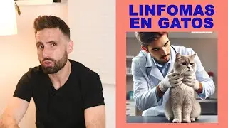 Linfomas en gatos