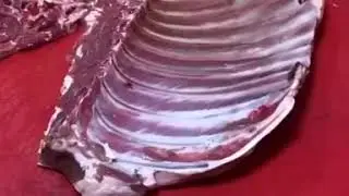 Шашлык без маринада бараньи ребрышки