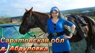 Поездка в Саратовскую обл / деревня  Абдуловка / шняево