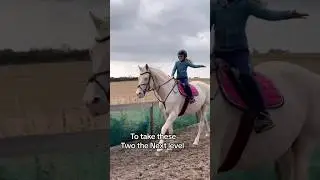 📢HUGE ACE 🦄 IVY UPDATE 📢 #horse #showjumping #horseriding #horselover #stallion #equestrian #fyp