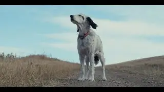 ORVIS Presents: COPA