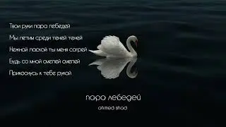 Ahmed Shad - Пара лебедей