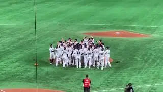 侍ジャパン 歓喜の胴上げ！   WBSCプレミア12