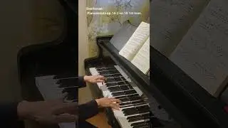 【Beethoven at home】Ryoko Sugaya plays Beethoven: Pianosonata op.14-2 no.10 1st mov.