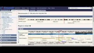 Looking at the Region of the LCT Gene