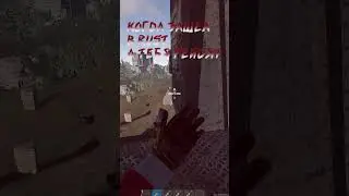 Когда зашел в Rust а тебя рейдят 