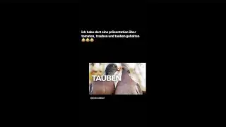 LUCA macht eine PRÄSENTATION!😂 😮 | laserluca Instagram Stories