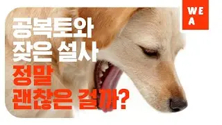 이런 '구토'와 '설사'를 한다면 바로 병원으로!!  [위아 18화]