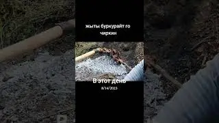 14 августа 2024 г.