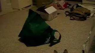 kitties trying to be green, you're doing it wrong