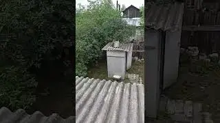 Я на чердаке