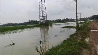 Autumn's Rain#short