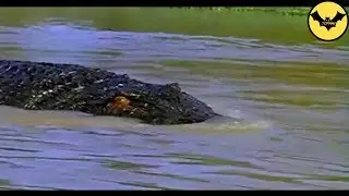 5 Creepy Prehistoric Animals Walking the Earth Right Now.