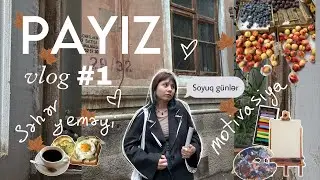 PAYIZ VLOG #1 Fotosessiya /soyuq günlər və isti kofe /kitab tövsiyyələri /mənim sakit həyatım