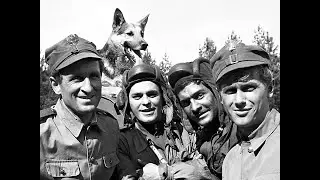 Четыре танкиста и собака.  Все серии. (1966-1970)  1 часть.