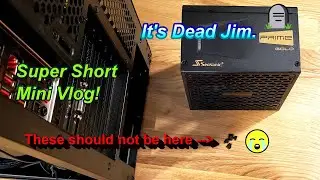 It's Dead Jim... Super Short Mini Vlog! | TWT Vlog 4