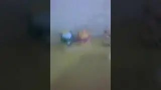 Петы клип (не знаю как называется песня)