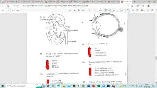 Human and Social Biology must watch for 2022