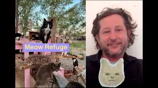 Interview with Michael of Meow Refuge Cat and Artist Sanctuary