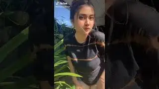 pt Sri Ayu Tarisa|Lemesin aja iya