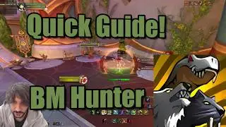 Quick Beast Mastery Hunter PvP guide + pets, talents, rotation - S1 Midnight WoW BM