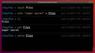 How to delete a file  on a HDD in secure way with Linux shred