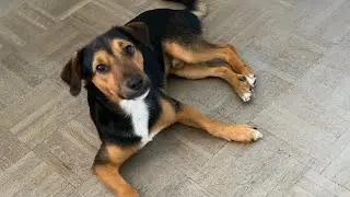 I'll tell you the truth 😔Is this a real problem? ! That's how it happens! Olga Kirchgessner